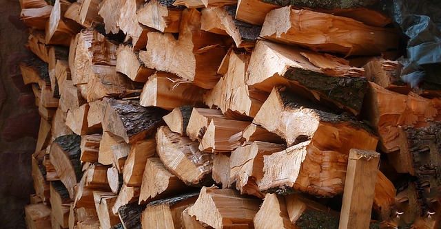 木材衰变和保存