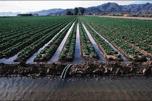 地表灌溉方法