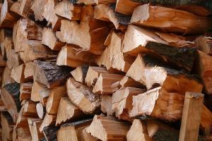 木材腐烂及保存