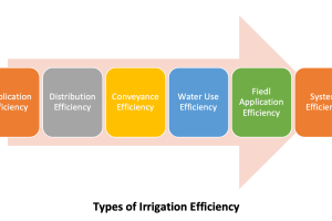 灌溉效率的类型