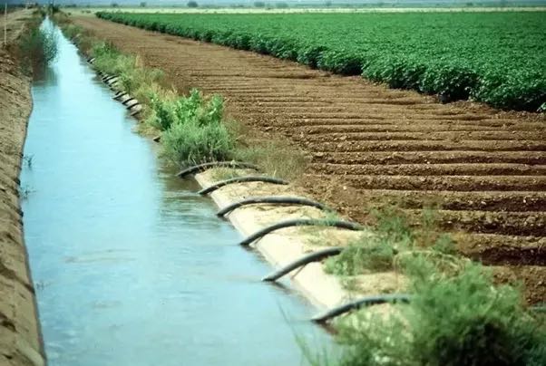 运河灌溉的影响